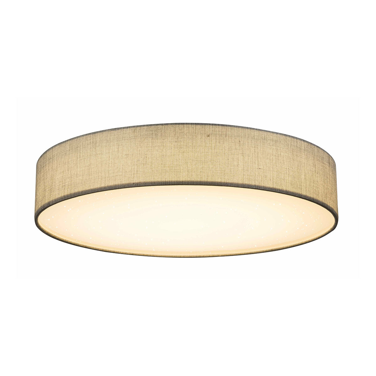 nikkelen-metalen-klassieke-plafondlamp-globo-paco-main-image