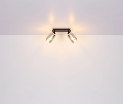 stijlvolle-zwarte-spotlight-met-rookglas-kap-hadera-variant-image6