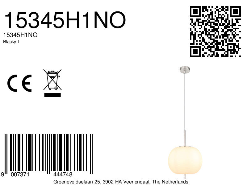 nikkelen-klassieke-hanglamp-rond-globo-blacky-i-variant-image8a