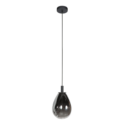 compacte-hanglamp-zwart-met-smoke-glas-steinhauer-glimsy-variant-image1