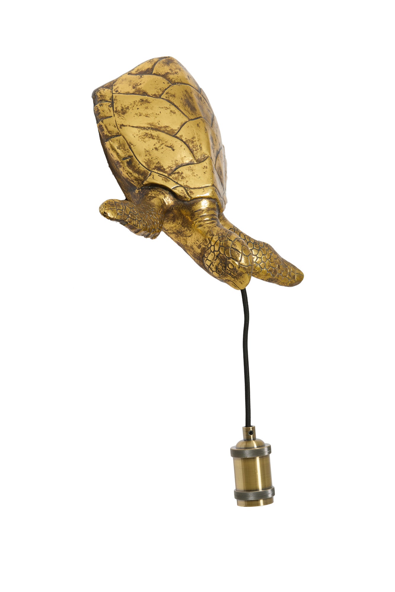 gouden-schildpad-wandlamp-light-living-turtle-variant-image2