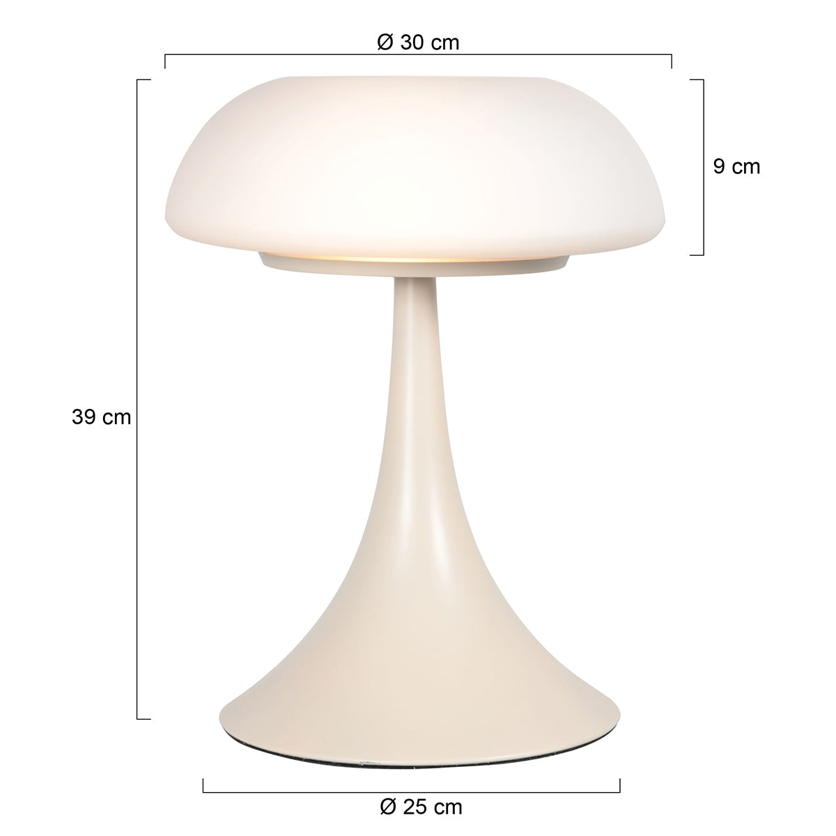 Lampa na stôl s matným sklom a dvoma svetelnými bodmi Steinhauer Ancilla – rozmerový nákres
