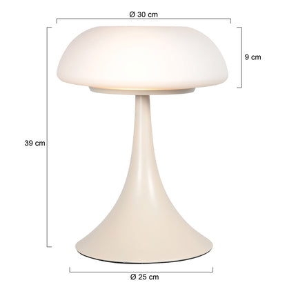 Lampa na stôl s matným sklom a dvoma svetelnými bodmi Steinhauer Ancilla – rozmerový nákres