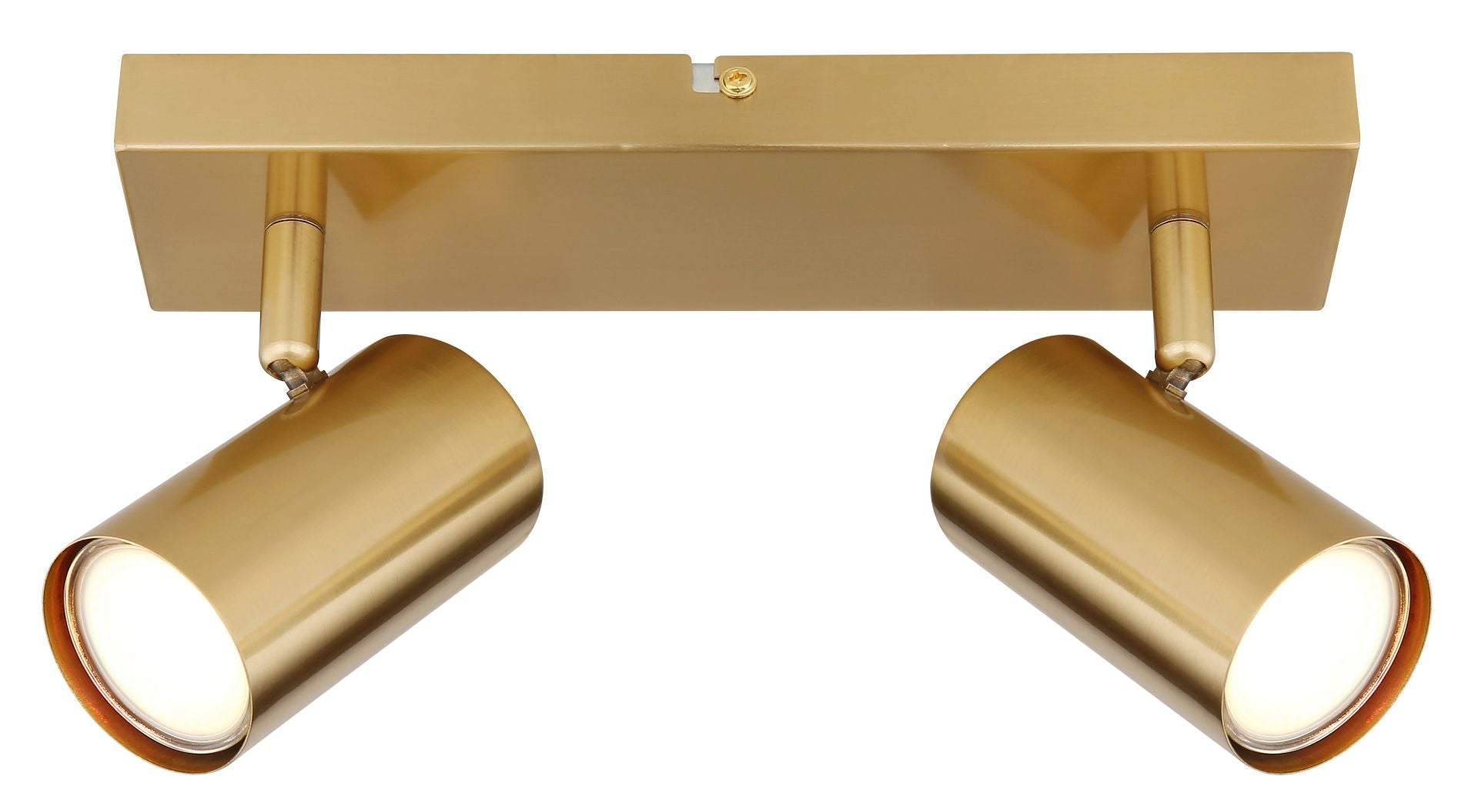 goudkleurige-geborstelde-metalen-spotlamp-met-rotatie-robby-variant-image2