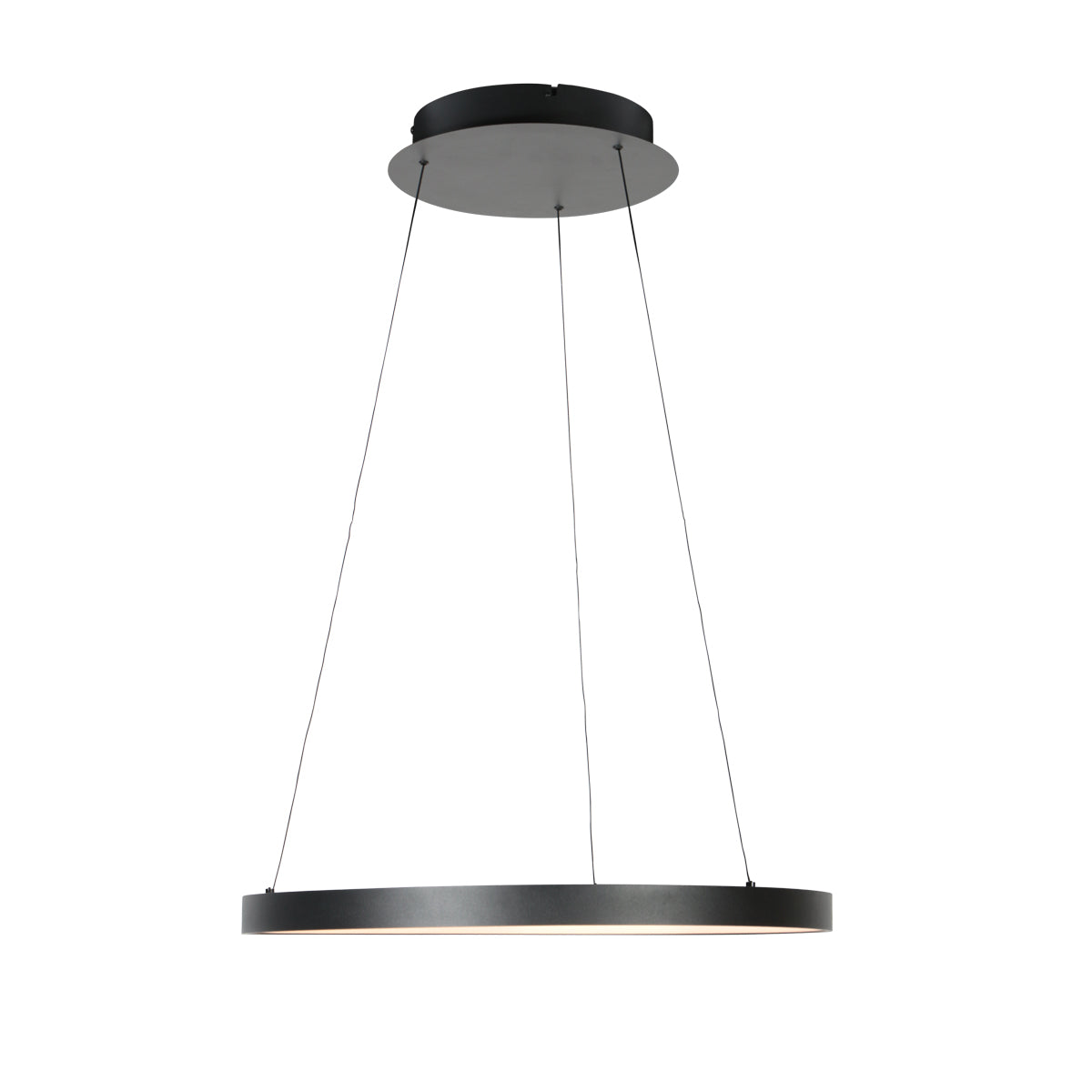 zwarte-ring-hanglamp-met-krachtige-led-steinhauer-ringlede-variant-image11