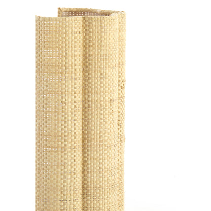 compacte-wandlamp-met-raffia-kap-light-living-verdantia-variant-image2