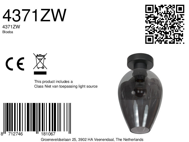 rookglazen-plafondlamp-zwart-steinhauer-bloeba-variant-image8a