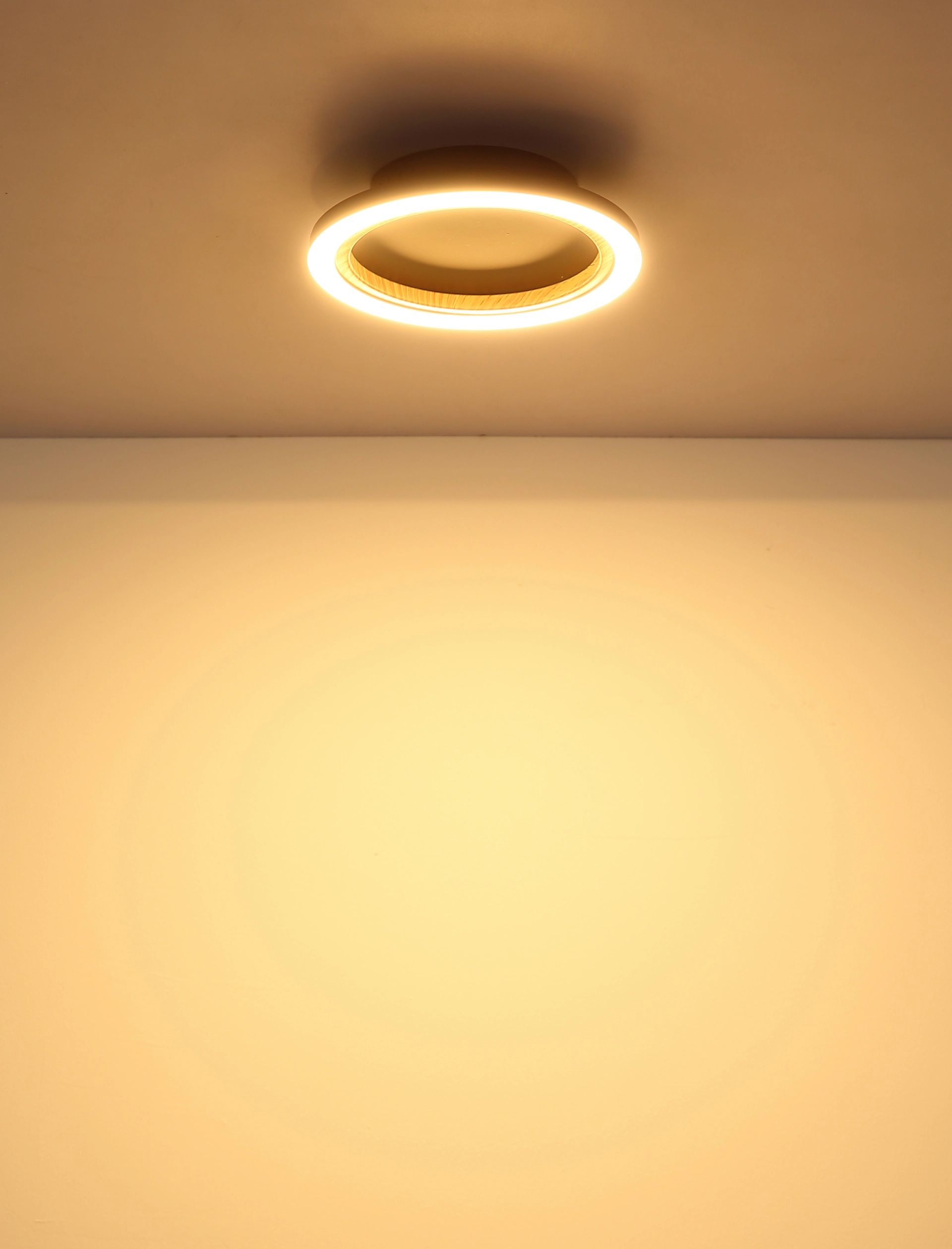 moderne-plafondlamp-met-natuurlijke-elementen-dakari-i-variant-image3