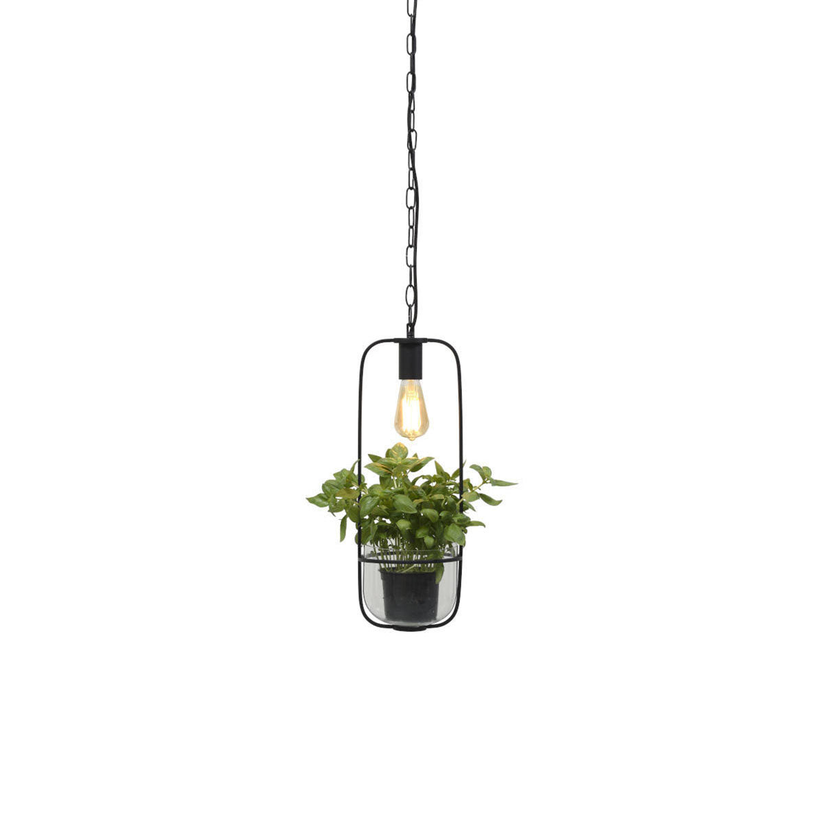 zwarte-hanglamp-plantenpot-its-about-romi-florence-main-image