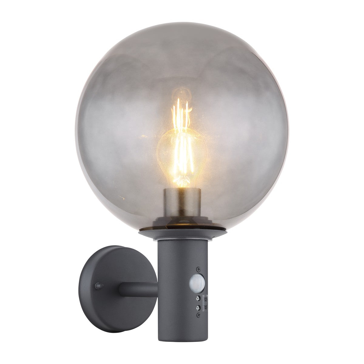 Zwarte metalen buitenwandlamp met gerookte glazen bolkap en ronde wandplaat