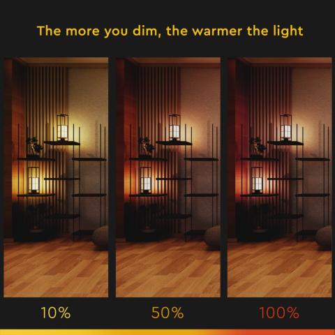 dim-to-warm-led-lichtbron-met-e14-fitting-5-5w-steinhauer-variant-image3